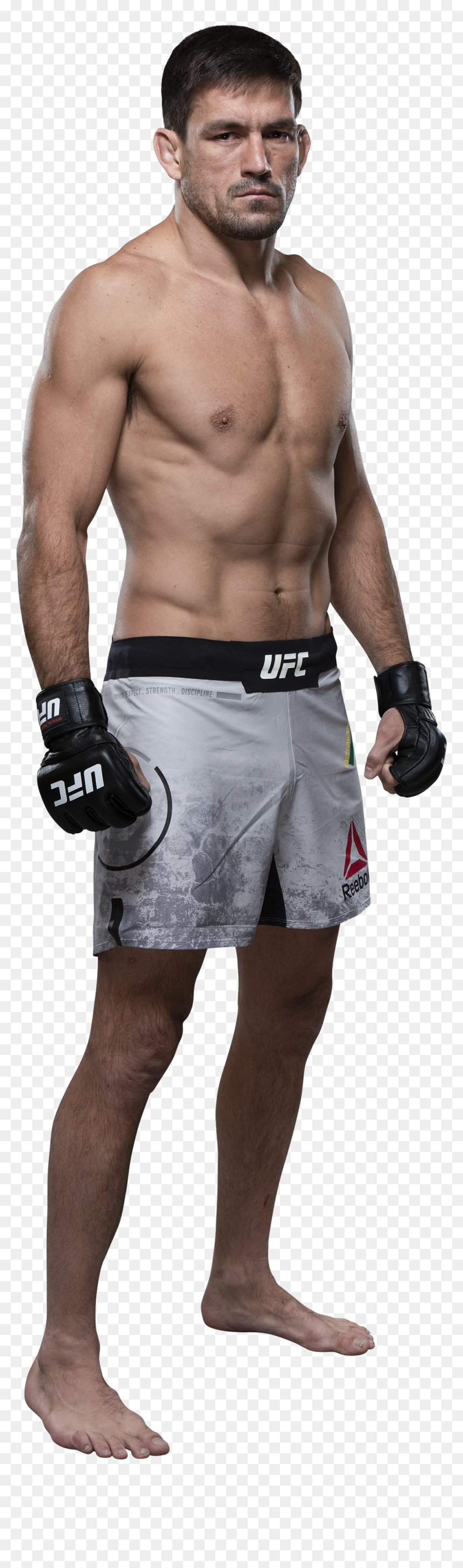 Nick Ring, HD Png Download - chael sonnen png