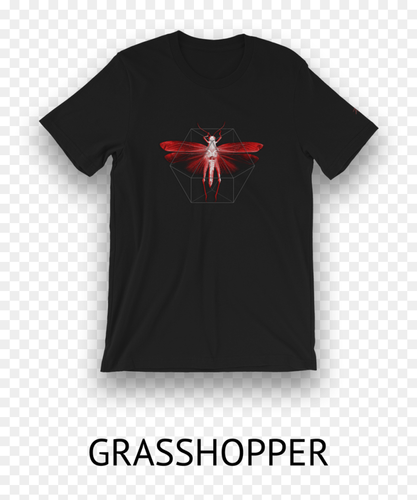 T-shirt, HD Png Download - orange shirt png