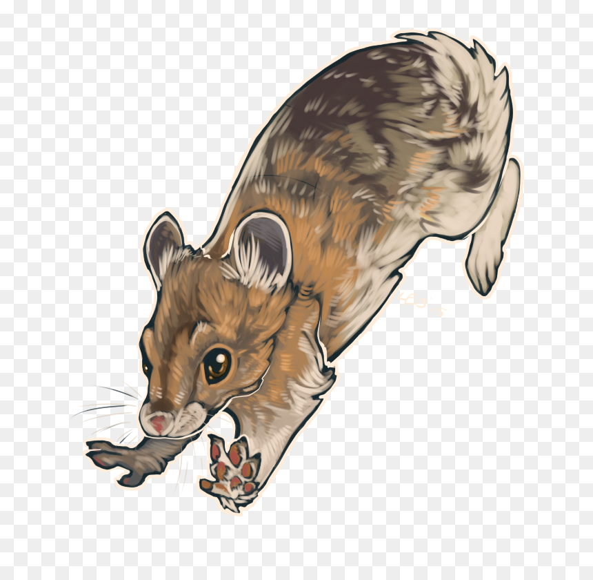 Leaping Pika - Marsh Rice Rat, HD Png Download - pika png
