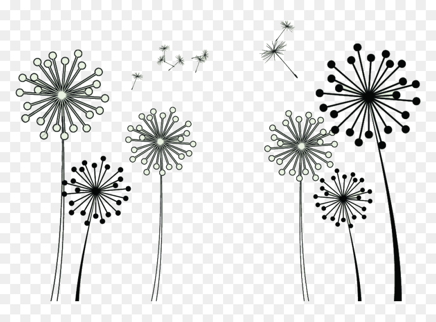 Common Dandelion Taraxacum Platycarpum Clip Art - Dandelion Clipart Black And White, HD Png Download - dandelion.png
