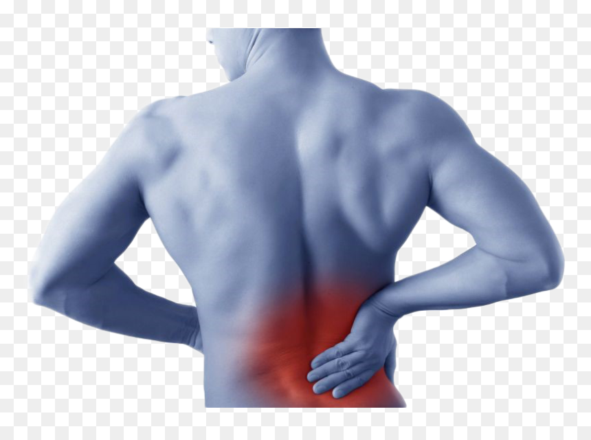 Back Pain Revealed - Muscle Pain, HD Png Download - back pain png