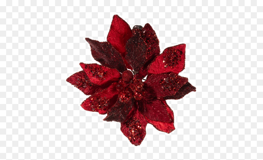 Poinsettia, HD Png Download - poinsetta png