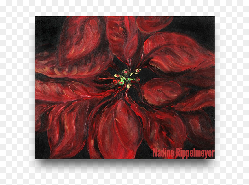 Poinsettia, HD Png Download - poinsetta png