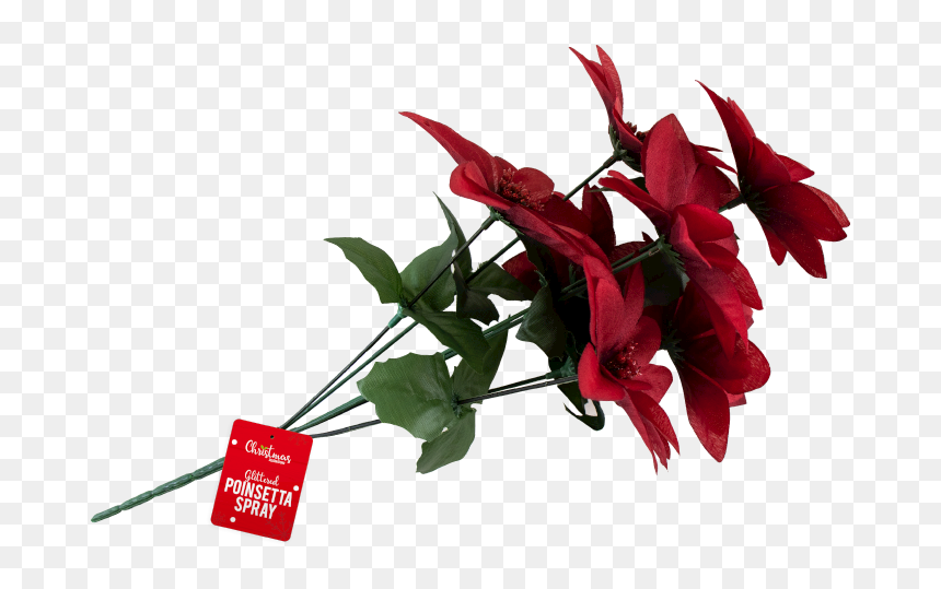 Christmas Glittered Poinsettia Spray - Lobelia, HD Png Download - poinsetta png