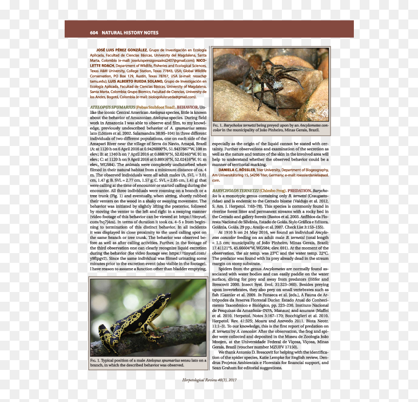 Grasshopper, HD Png Download - liquid snake png