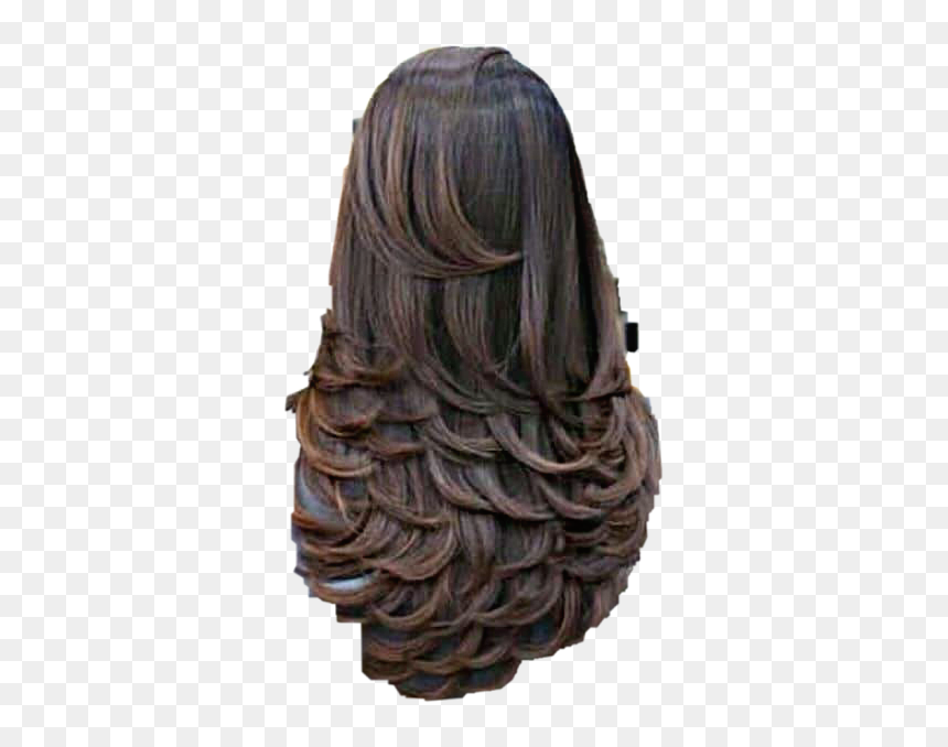 #wig #hair #waves #curls #brunette #longhair #freetoedit - Hi Tech Salon In Rajkot, HD Png Download - dreadlocks wig png