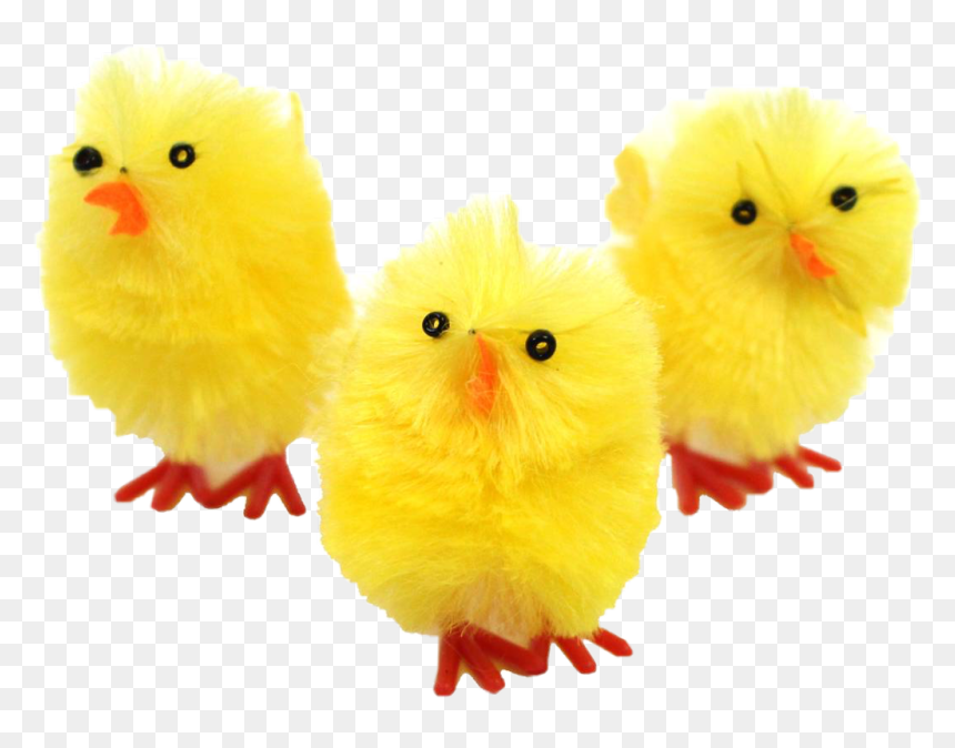 #easterchicks #springchicks #chicks #easter #pacques - Stuffed Toy, HD Png Download - easter chicks png