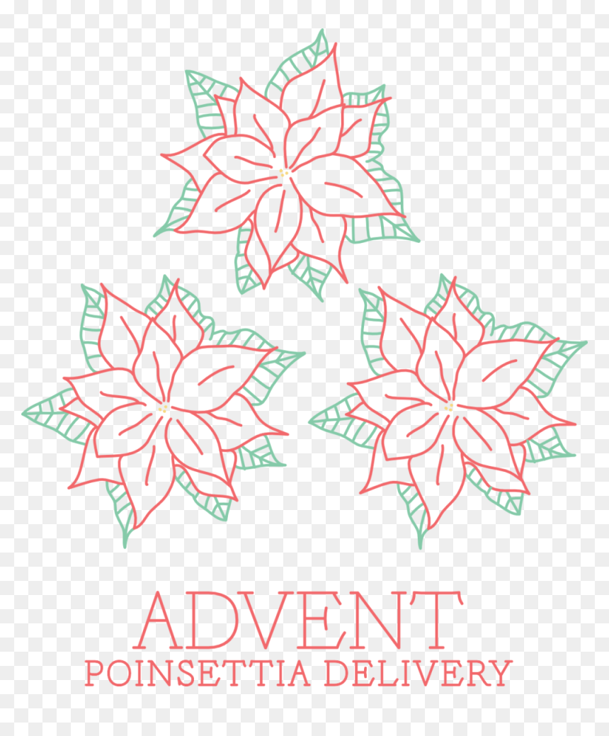 Poinsettia Epistle - Illustration, HD Png Download - pointsettia png