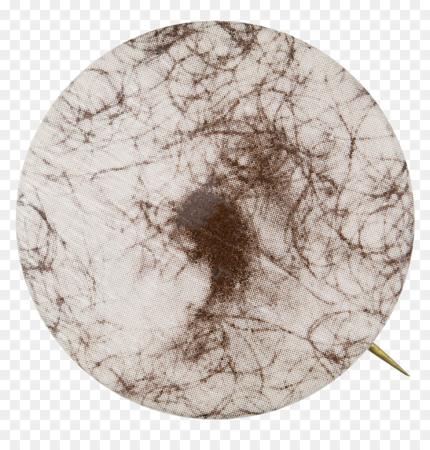 Hairy Belly Button Art Button Museum - Circle, HD Png Download - belly button png