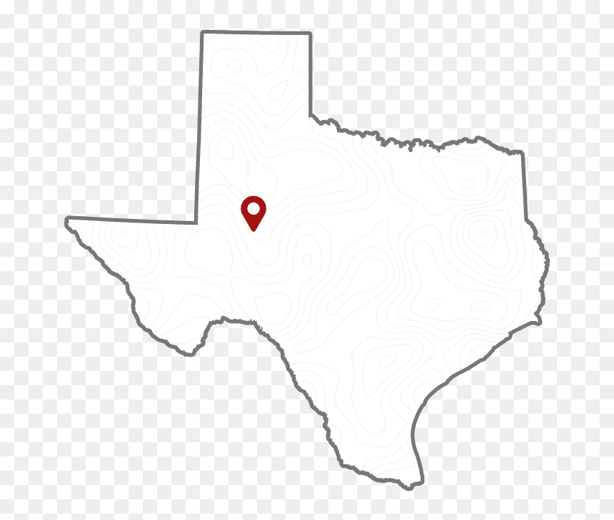 White Texas Black Background Clipart - Texas Bluebonnet Map, HD Png Download - texas clip art png