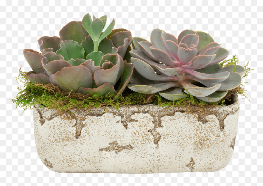 Flowerpot, HD Png Download - mexican paper flowers png