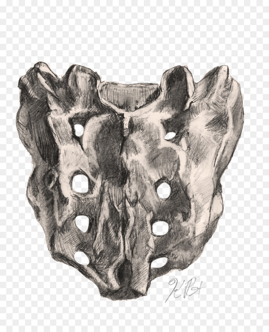 Sacrum Posterior2 Web - Sketch, HD Png Download - reinhardt head png