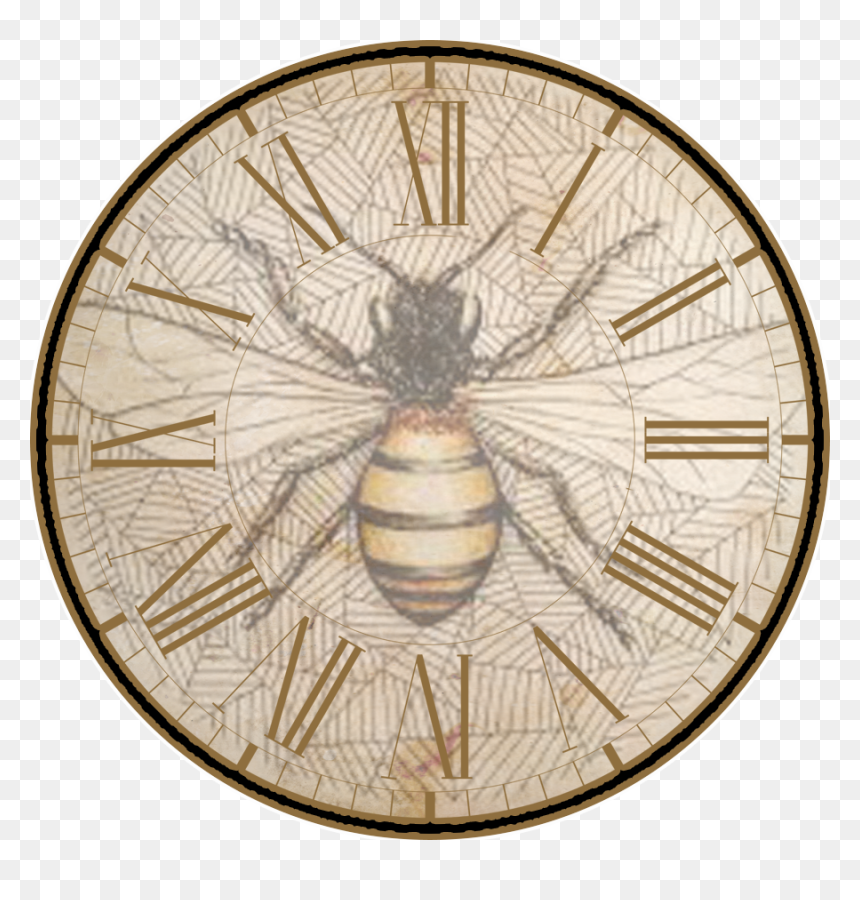 Vintage Honey Bee Clipart, HD Png Download - vintage bee png