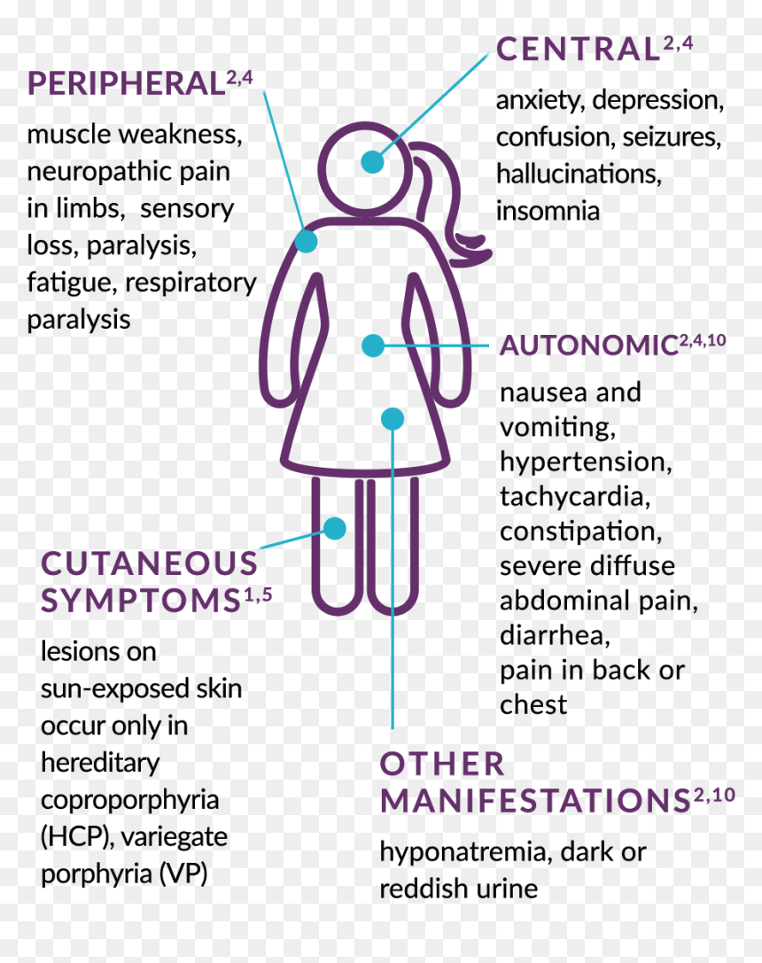 Acute Hepatic Porphyria Symptoms - Illustration, HD Png Download - symptoms png