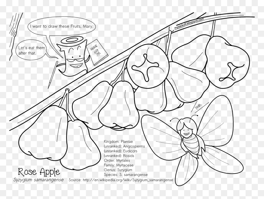 Rose Apple - Rose Apple White And Black Png, Transparent Png - apple drawing png