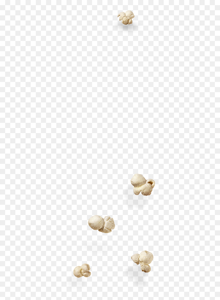 Shell, HD Png Download - popcorn png