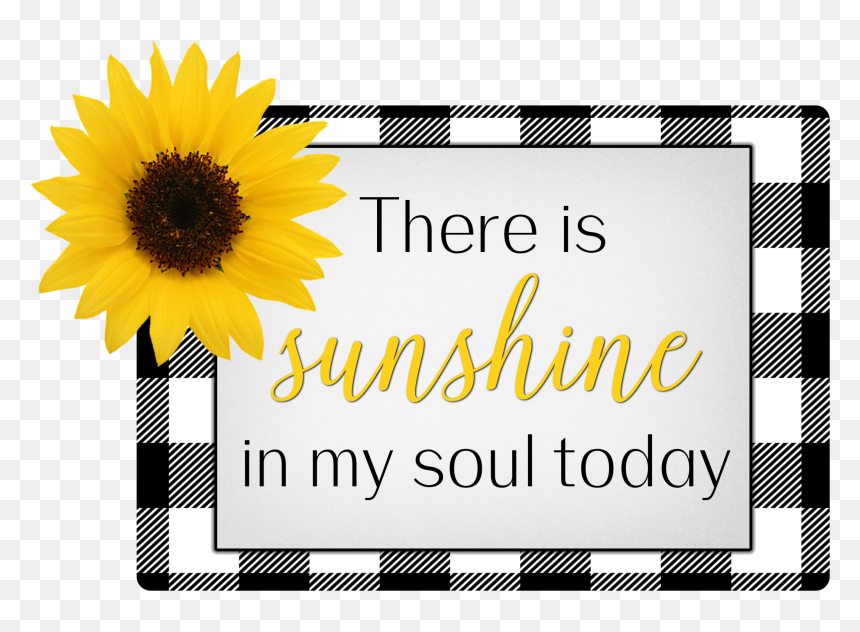 Sunflower, HD Png Download - shine png
