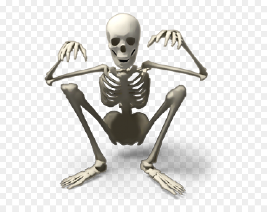 Skeleton Png, Transparent Png - skeleton png