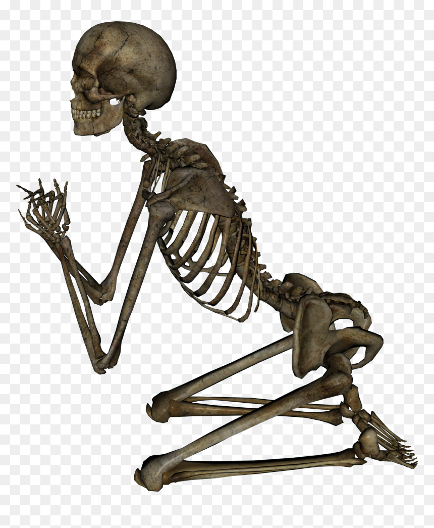 Esqueleto Otaku, HD Png Download - skeleton png