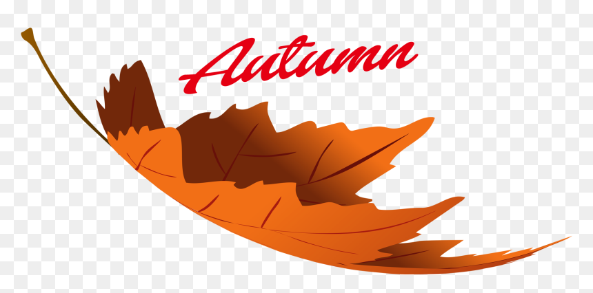 Transparent Autumn Leaf Png, Png Download - fall leaves png