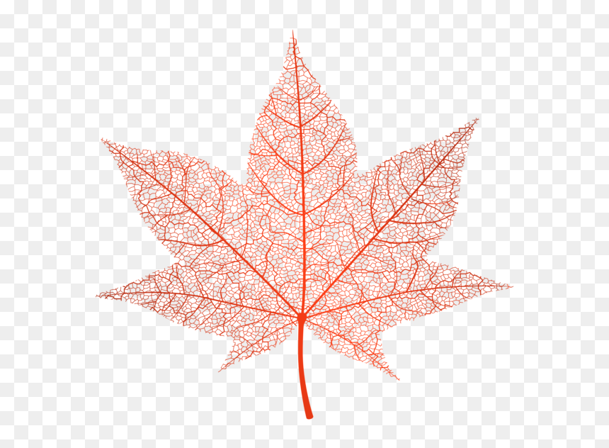 Png Transparent Pink Leaf Png, Png Download - fall leaves png