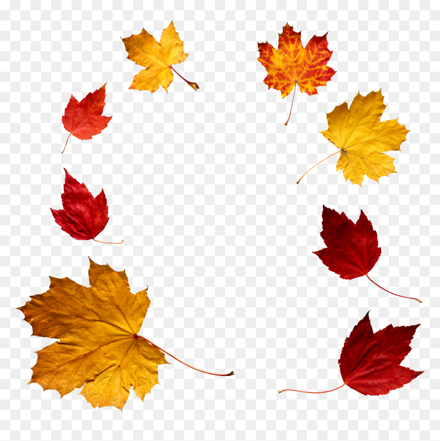 Png File Leaves, Transparent Png - fall leaves png