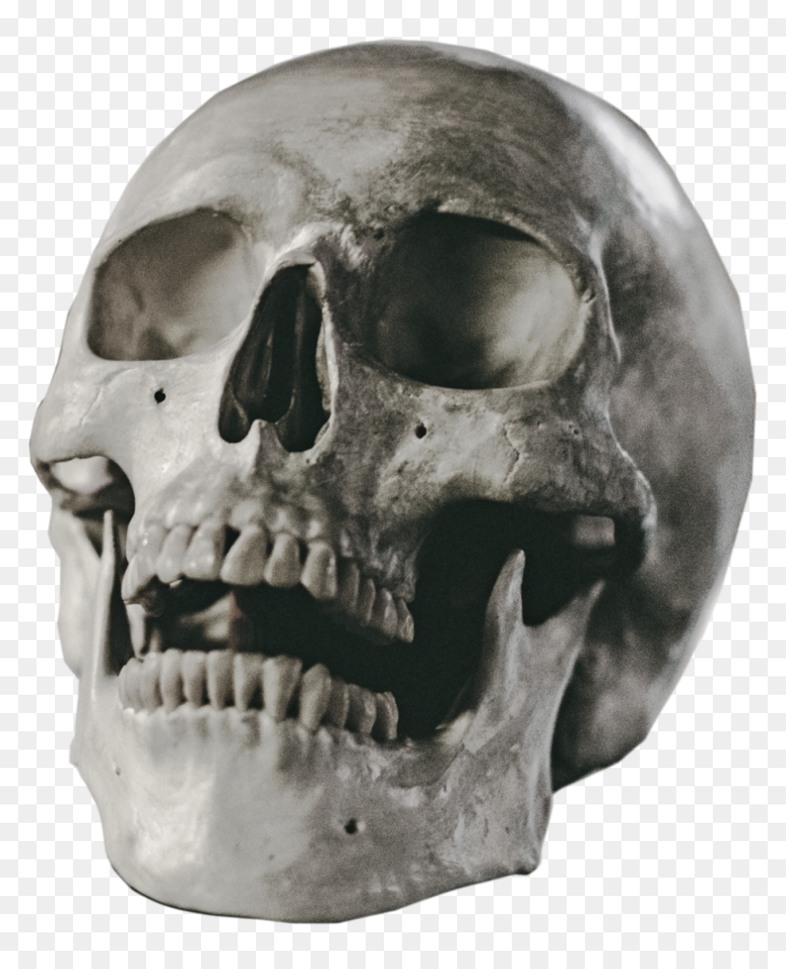 Skull, HD Png Download - skeleton png