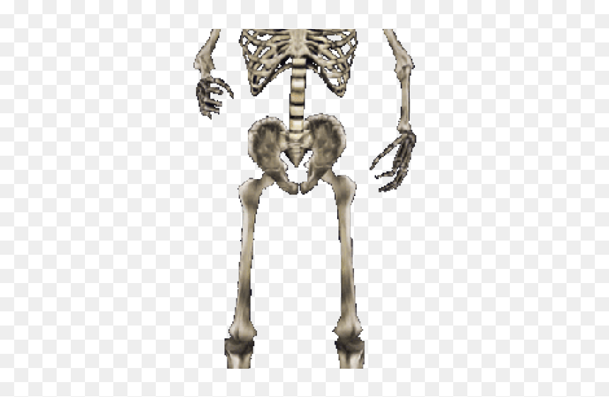 Morrowind Skull, HD Png Download - skeleton png