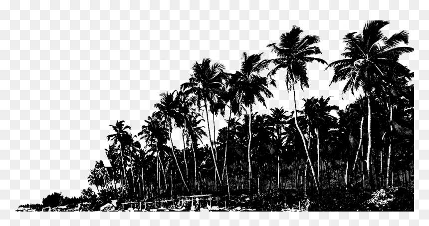 Goa Png, Transparent Png - beach png