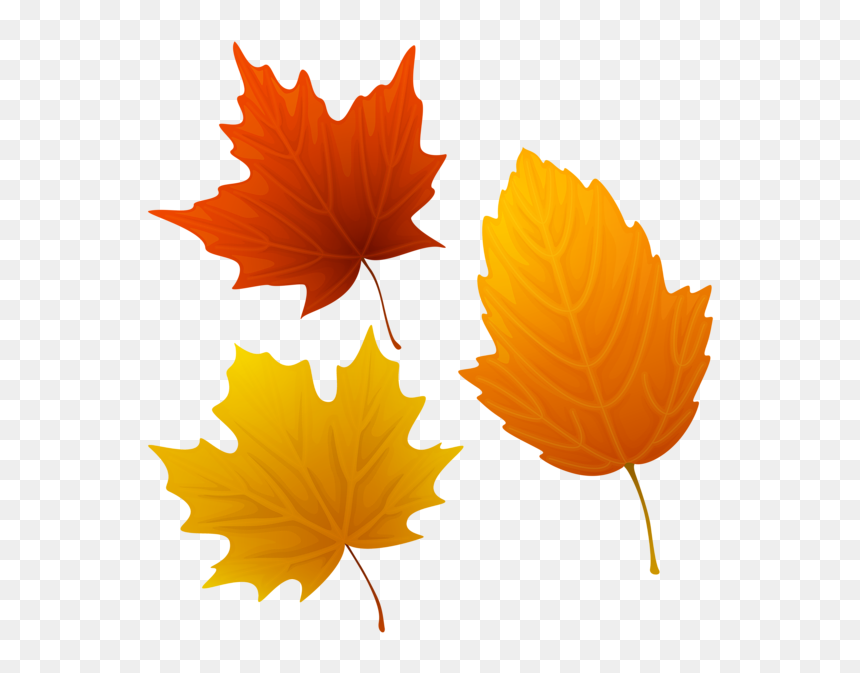 Autumn Leaves, HD Png Download - fall leaves png