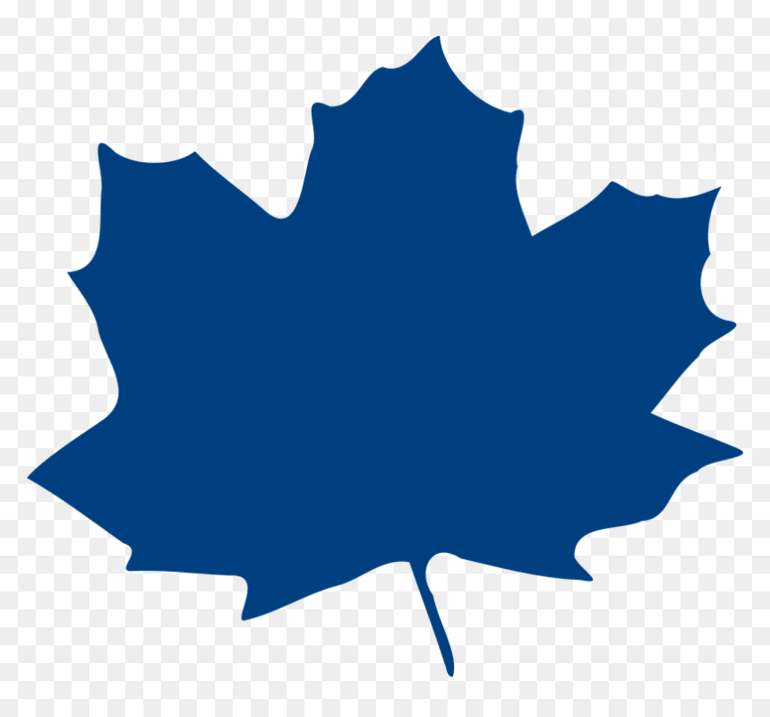 Transparent Png Image Vector, Png Download - fall leaves png