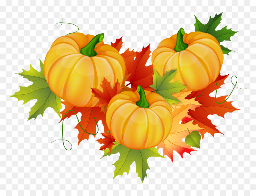 Clip Art Thanksgiving Pumpkins, HD Png Download - thanksgiving png
