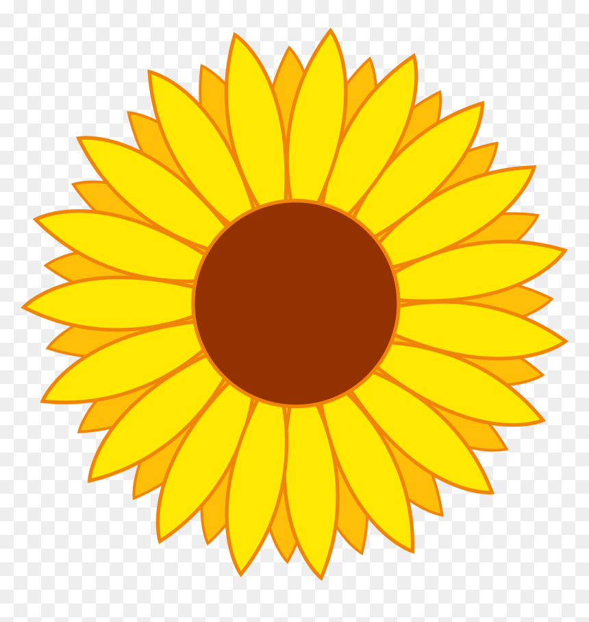 Sunflower Clipart Png, Transparent Png - floral png