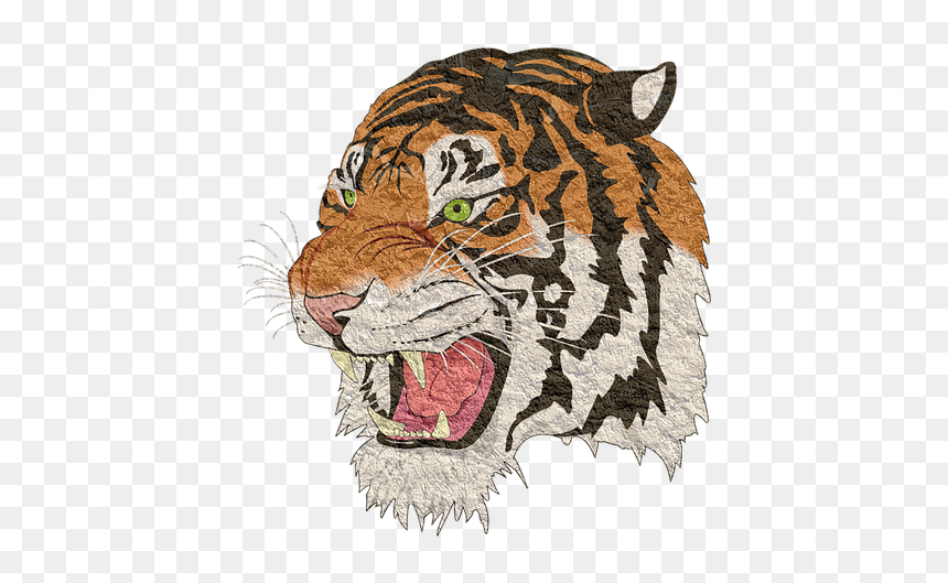 Jerome High School Tiger, HD Png Download - tiger png