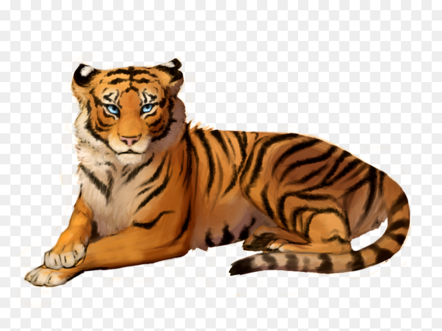 Tiger With Out Background, HD Png Download - tiger png