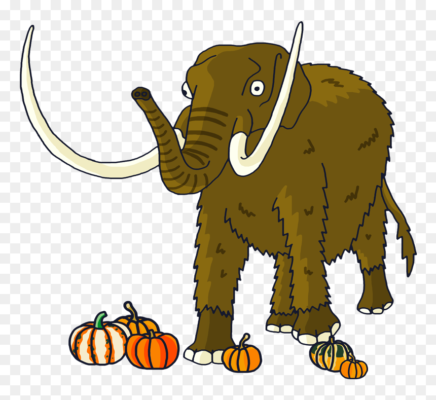 Indian Elephant, HD Png Download - thanksgiving png