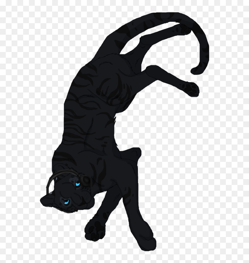 Dog Catches Something, HD Png Download - tiger png