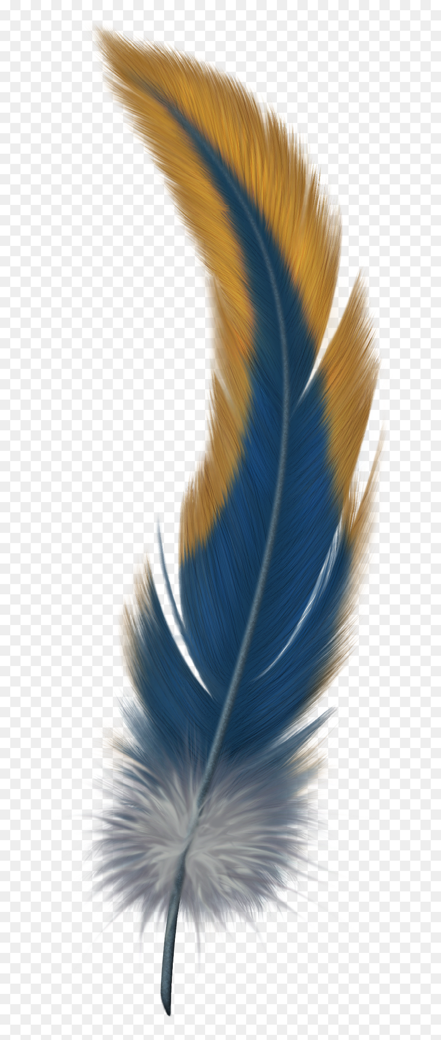 Transparent Background Feather Png, Png Download - feather png