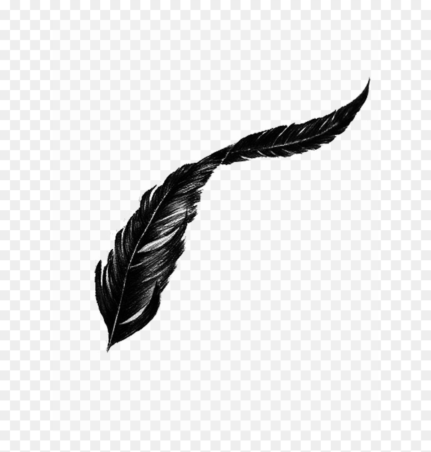 Black Feather Transparent Background, HD Png Download - feather png