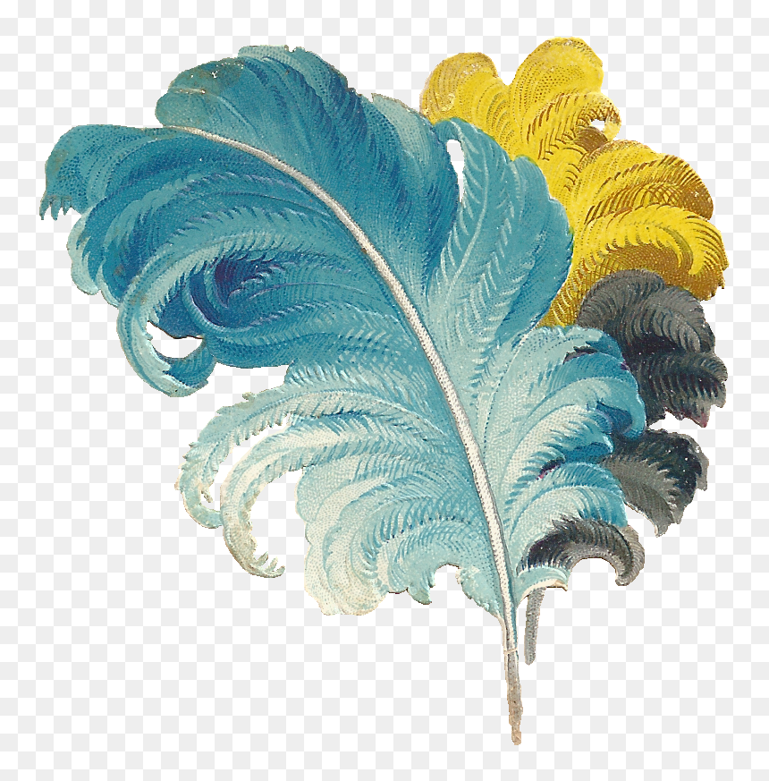 Victorian Feather, HD Png Download - feather png