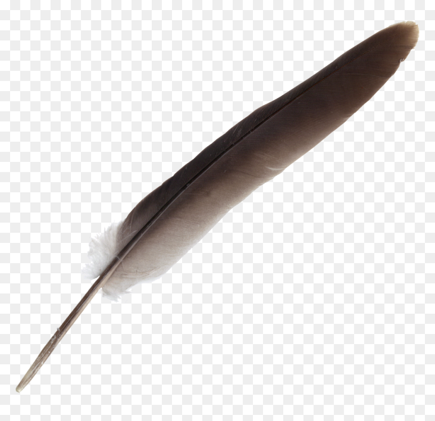 Feather, HD Png Download - feather png