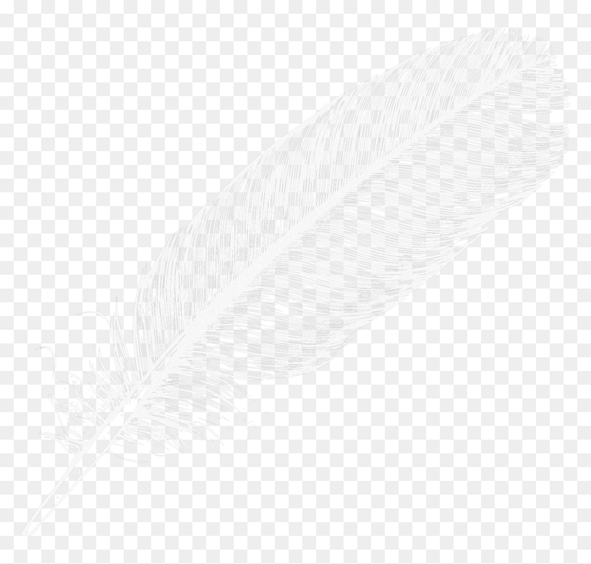 Transparent Background White Feather Png, Png Download - feather png