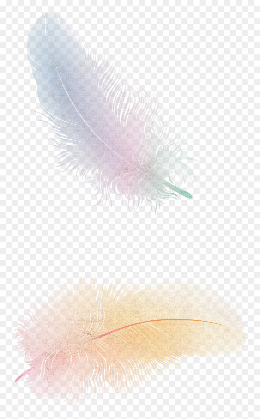 Png Transparent Feather Png, Png Download - feather png