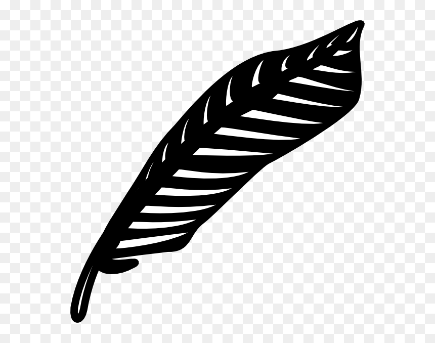 Turkey Feather Black And White, HD Png Download - feather png