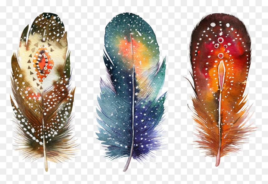 Feather Png, Transparent Png - feather png