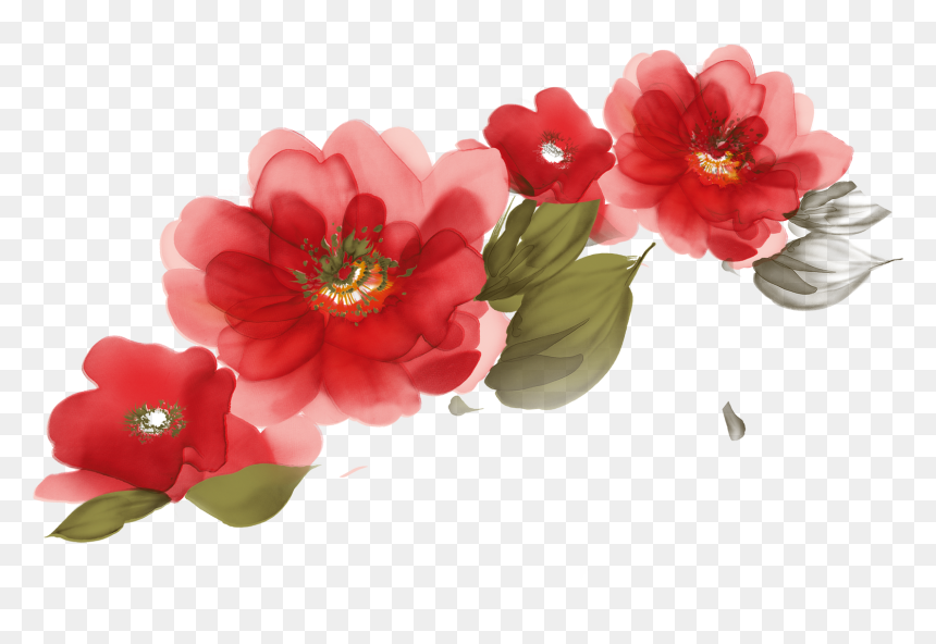 Lg 20 Led Monitor, HD Png Download - watercolor flowers png
