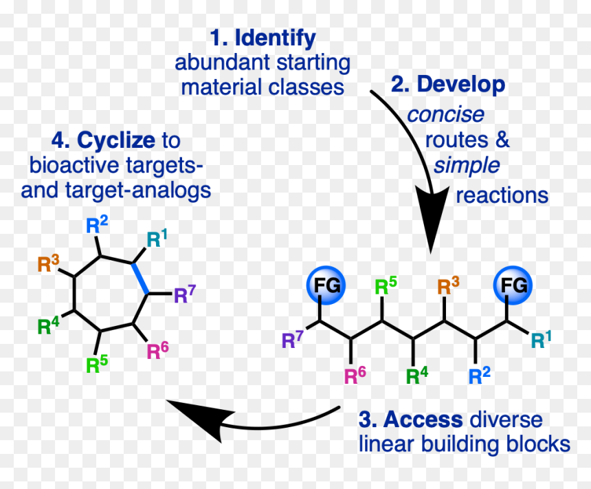 Diagram, HD Png Download - university of florida png