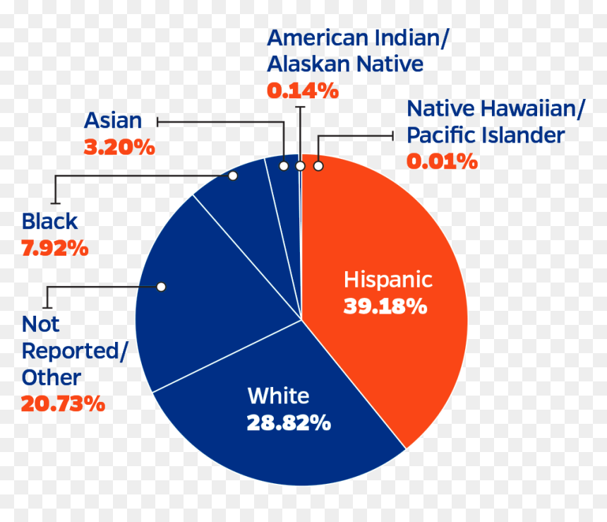Diagram, HD Png Download - university of florida png