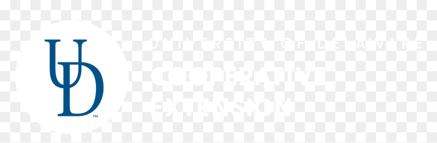 Poster, HD Png Download - lower third templates png