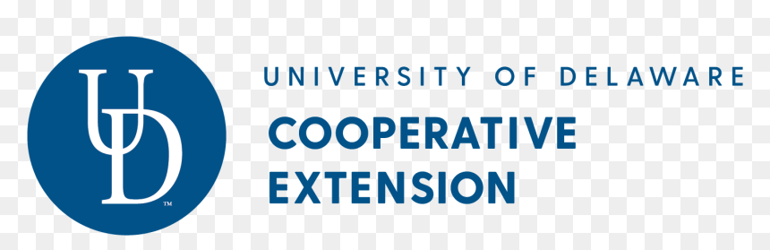 University Of Delaware, HD Png Download - lower third templates png